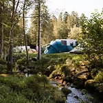 营地 Mobil 6 Pers - Terrasse - - Api-1-52-570 *