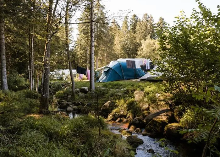 Kemp Mobil 6 Pers - Terrasse - - Api-1-52-570 *