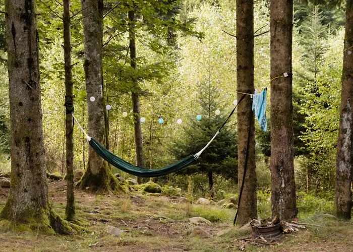 Mobil 6 Pers - Terrasse - - Api-1-52-570 Kemp Granges-Aumontzey